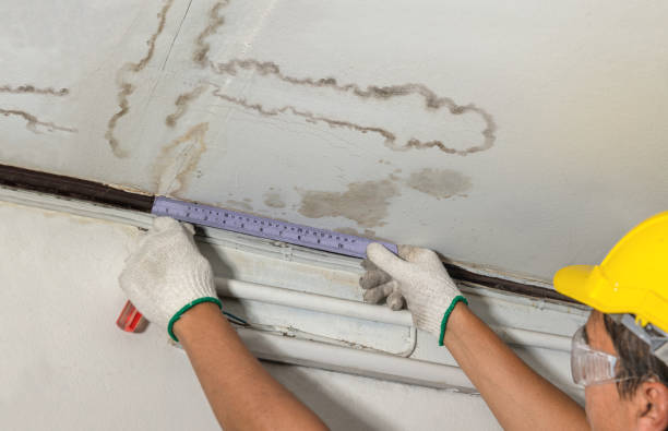 Reliable Mold Remediation contractor in Hudson, NC by Water Damage Irwin